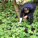 김진규농장 이미지