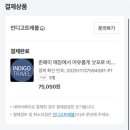[여행] 인디고트래블 삿포로 비에이투어 내돈내산 솔직 따끈 후기