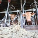 정종호 축사 이미지