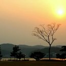 양우탑공인중개사사무소 이미지