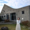 하나로4길 | 가족과 머물기 좋은 제주 북쪽 감성 독채 펜션, 선흘림 숙박 후기
