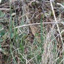 큰산농장 이미지