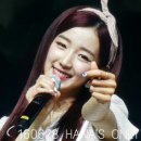콩닭콩닭 이미지