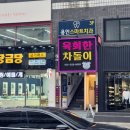 용인자매약국 | (후기) 용인 육회 맛집 찾았다! 육회한 차돌이