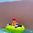 월드 연무관 합기도 이미지