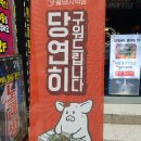 꽃돼지다방 이미지