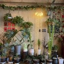 백률로(남) 이미지