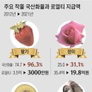 두리그래픽