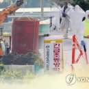돼지인력 이미지