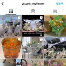 너는나의꽃 이미지