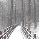 산사가는길 이미지