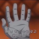 커피화수분