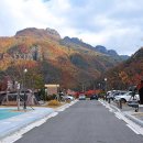 청량산 캠핑장 이미지