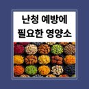 푸른소리 보청기 | 귀에 좋은 음식 5가지, 난청 예방에 꼭 필요한 영양소 정리