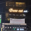 갤러리캣 | 수성못 데이트 필수 코스! 갤러리 와인바 ‘보스캣’에서 피맥 즐긴 후기!