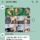 빌리프독 킨더가든 이미지