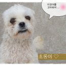 제우스존 이미지