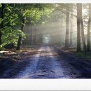 아산행정사 이미지