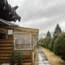 홍천 숙소 숲속아지트 | 홍천 힐링이 필요할때 가기 딱 좋은 개별 바베큐 가능한 온돌에 지지기 딱 좋은...