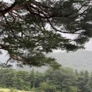 반송초등 이미지