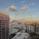 플라밍고 | 라스베가스 가성비 호텔 플라밍고 스피어뷰 짐보관 후기