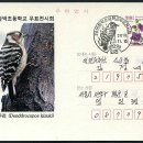 함박초등학교 이미지