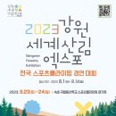 2023강원세계산림엑스포 전국스포츠클라이밍페스티벌 이미지