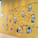 스누피 애견 | [제주 볼거리] 제주 스누피가든 (반려동물데이) - 제주도 애견동반가능 산책코스 관광지