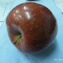 진선미농장 이미지