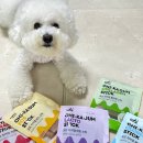 덴탈포스 이미지