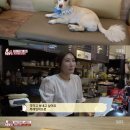 오영농장 이미지