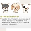 로하동물병원 이미지