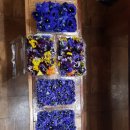 윤호농장 이미지