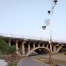 남강오리 이미지