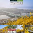 2001아울렛(벽산상가) 버스정류장 | 서울 여행 추천 서울 응봉산 개나리 축제 응봉산 팔각정 풍경