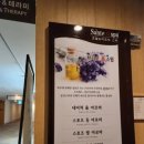브리오올스윕