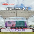 방아머리제1주차장 | 안산 축제 2025년 안산대부포도축제 대부도 갈만한곳