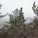 암태중학교 이미지