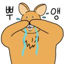 퀴즈노스청주 이미지