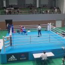 경주권투체육관 이미지