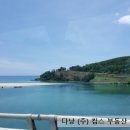 킴스개발주