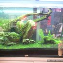 어항카센타 이미지