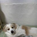 해봉유치원 이미지