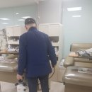 벅스제로방역