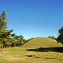 왕궁 궁평교 가로수 조성사업 | [경상북도 경주시] 신라왕경숲