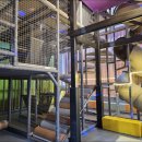 아이스포츠 이미지