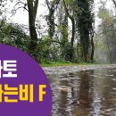 하모니카(1년) 이미지