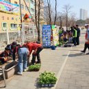 다산신도시 일원 등교길 꽃심기 전개/ 우다행(우리동네 다산이 행복한사람들) 식목행사 이미지