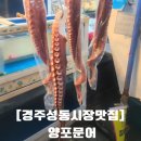 양포문어 | [경주성동시장맛집] 양포문어 경주 문어숙회 포장 맛집, 야식으로 완벽했던 후기