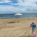 (주)동해보양온천컨벤션호텔 이미지